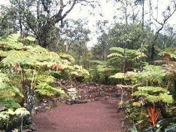 Volcano Rainforest Lodge 外观 照片